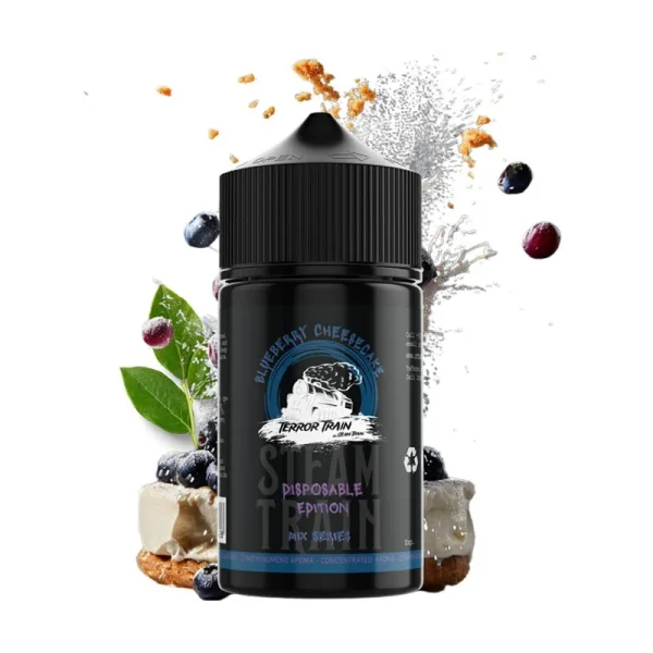 Terror Train by Steam Train - Blueberry Cheesecake 75ml