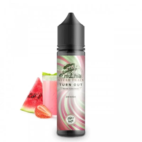 Steam Train – Τurn Out 60ml